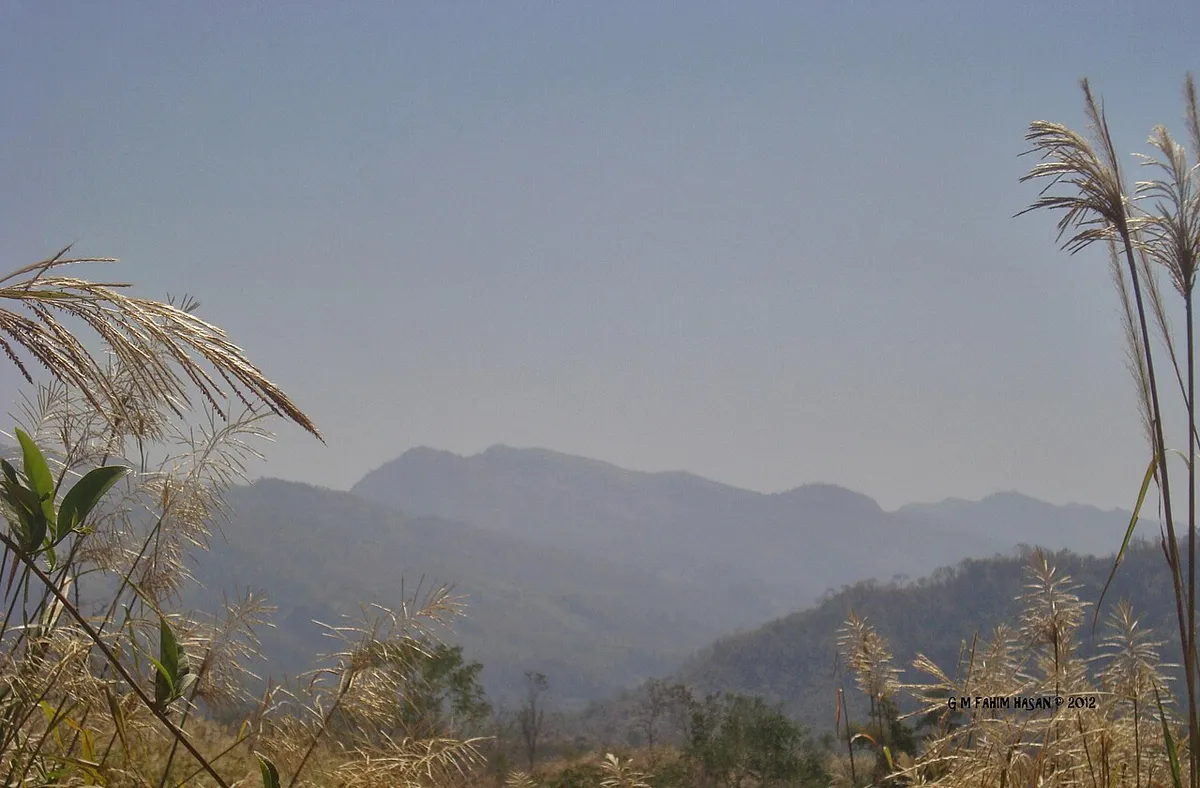 সাকা হাফং