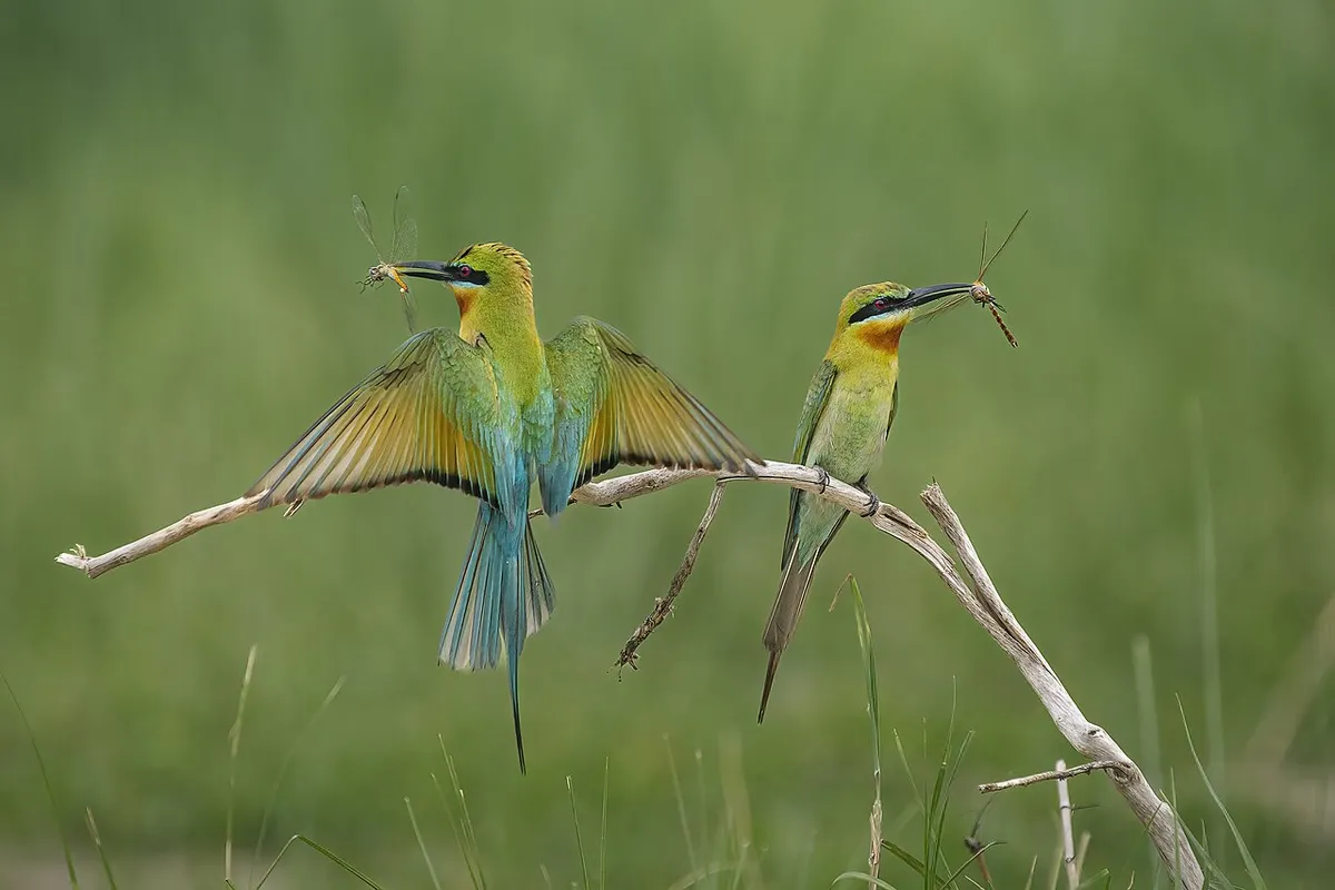 নারায়ণগঞ্জ