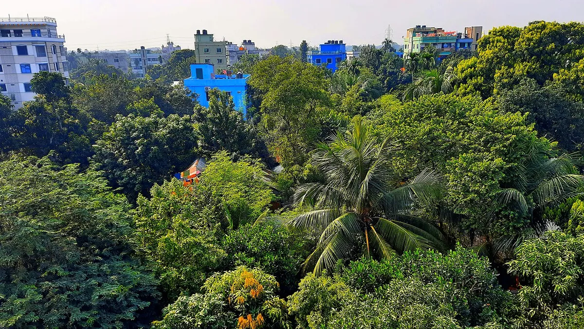 নরসিংদী