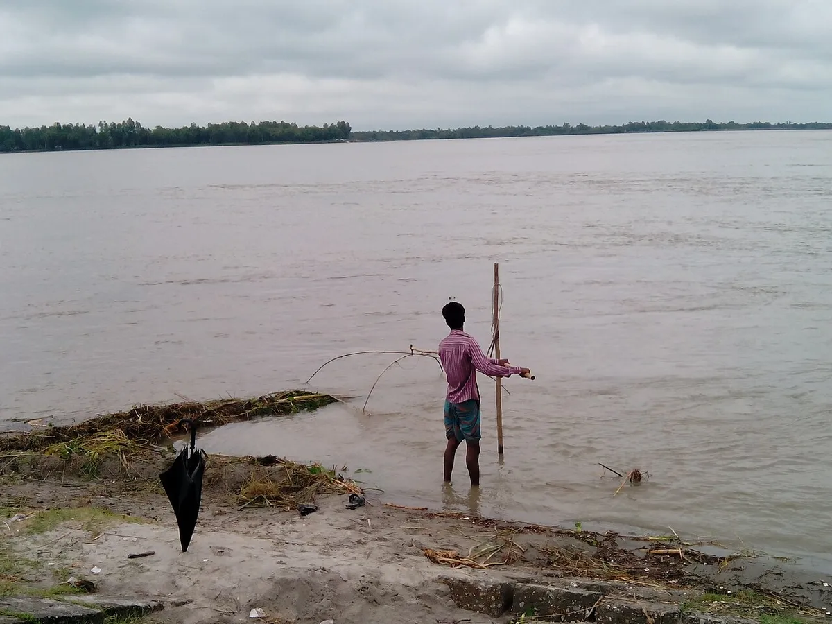 ডিমলা