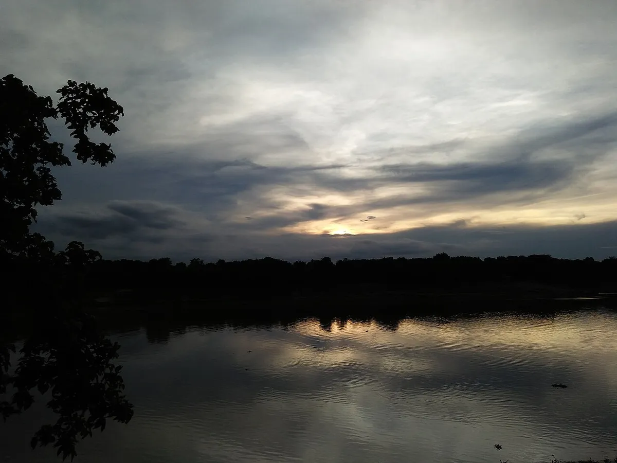 নাচোল
