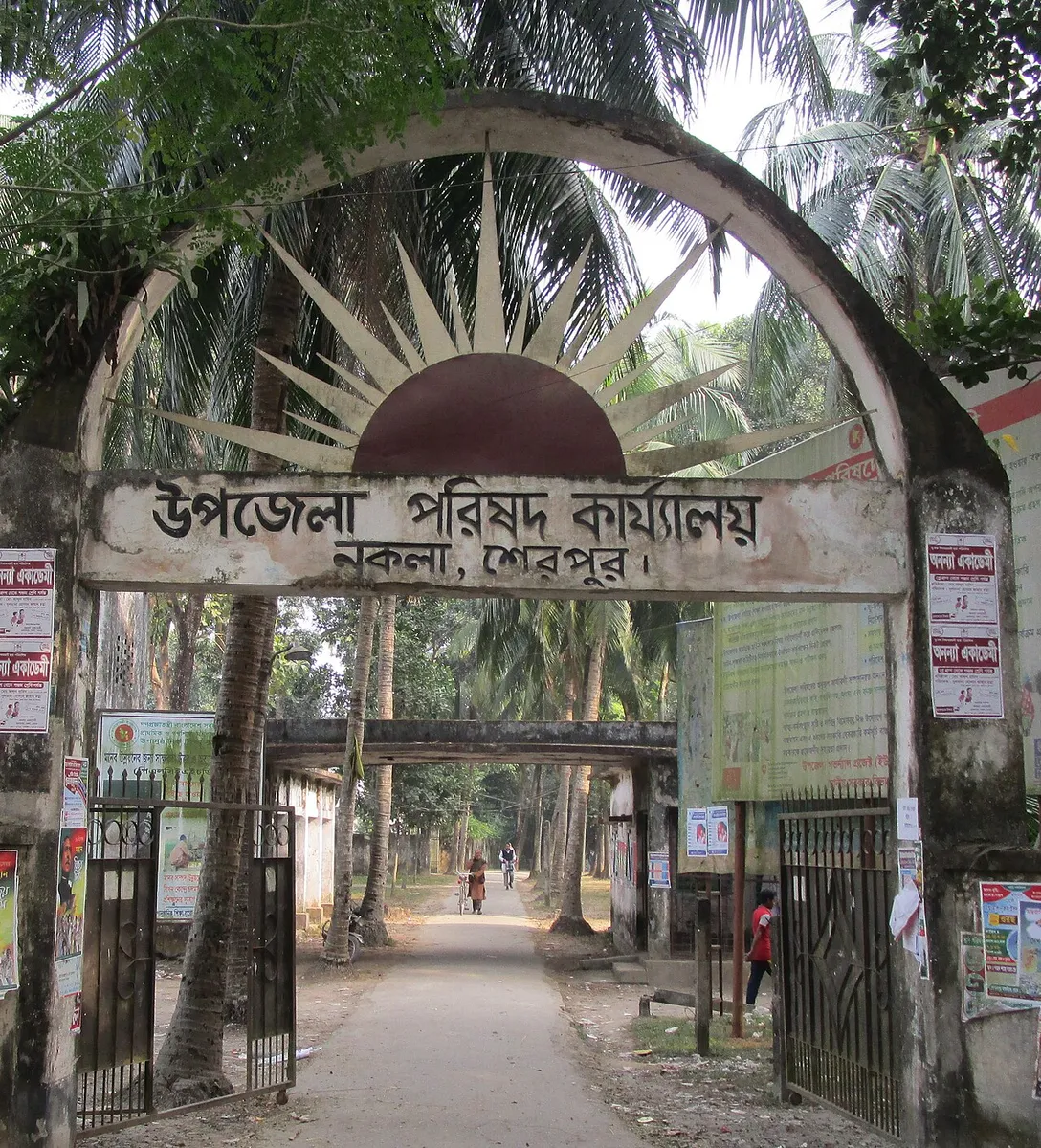 নকলা