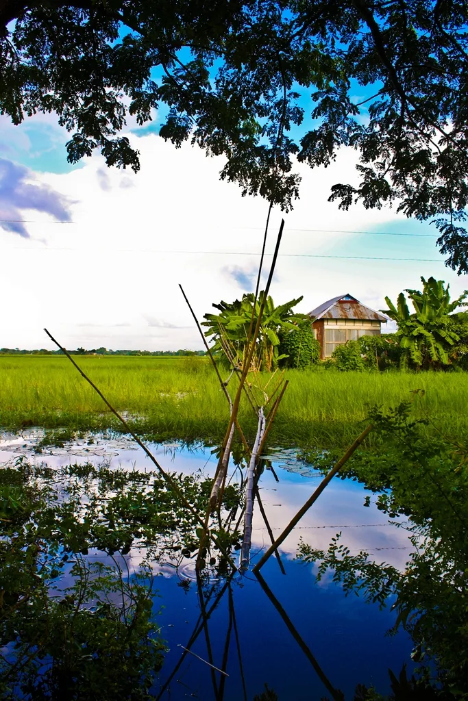 রায়পুরা
