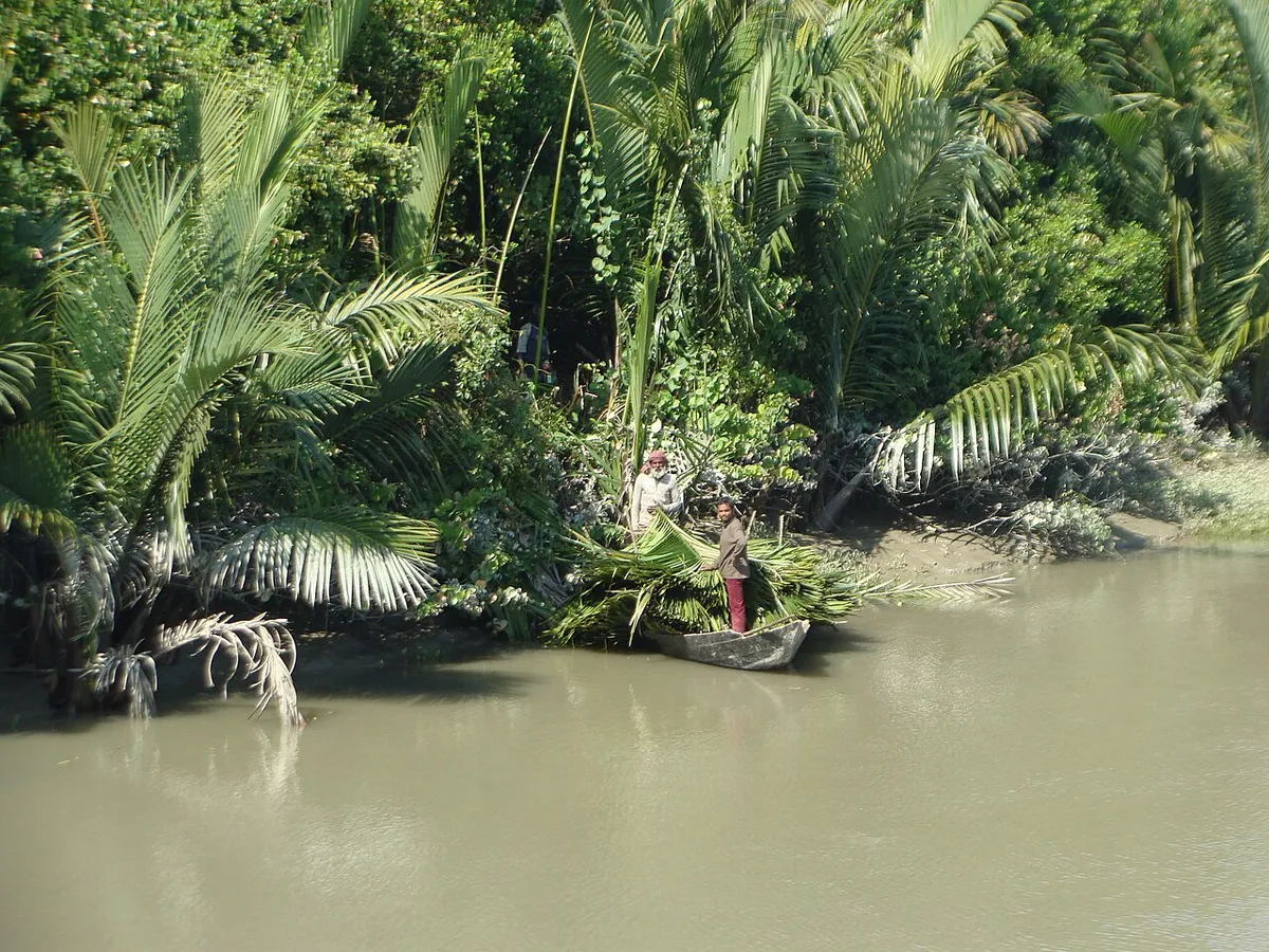 শরণখোলা