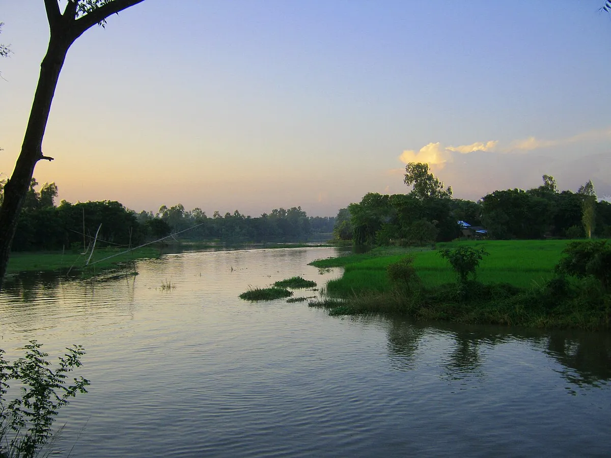 সিংড়া