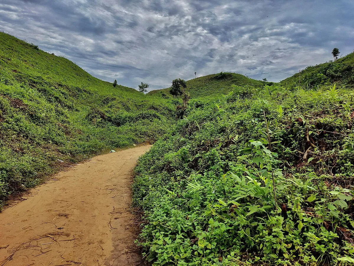 শ্রীবরদী