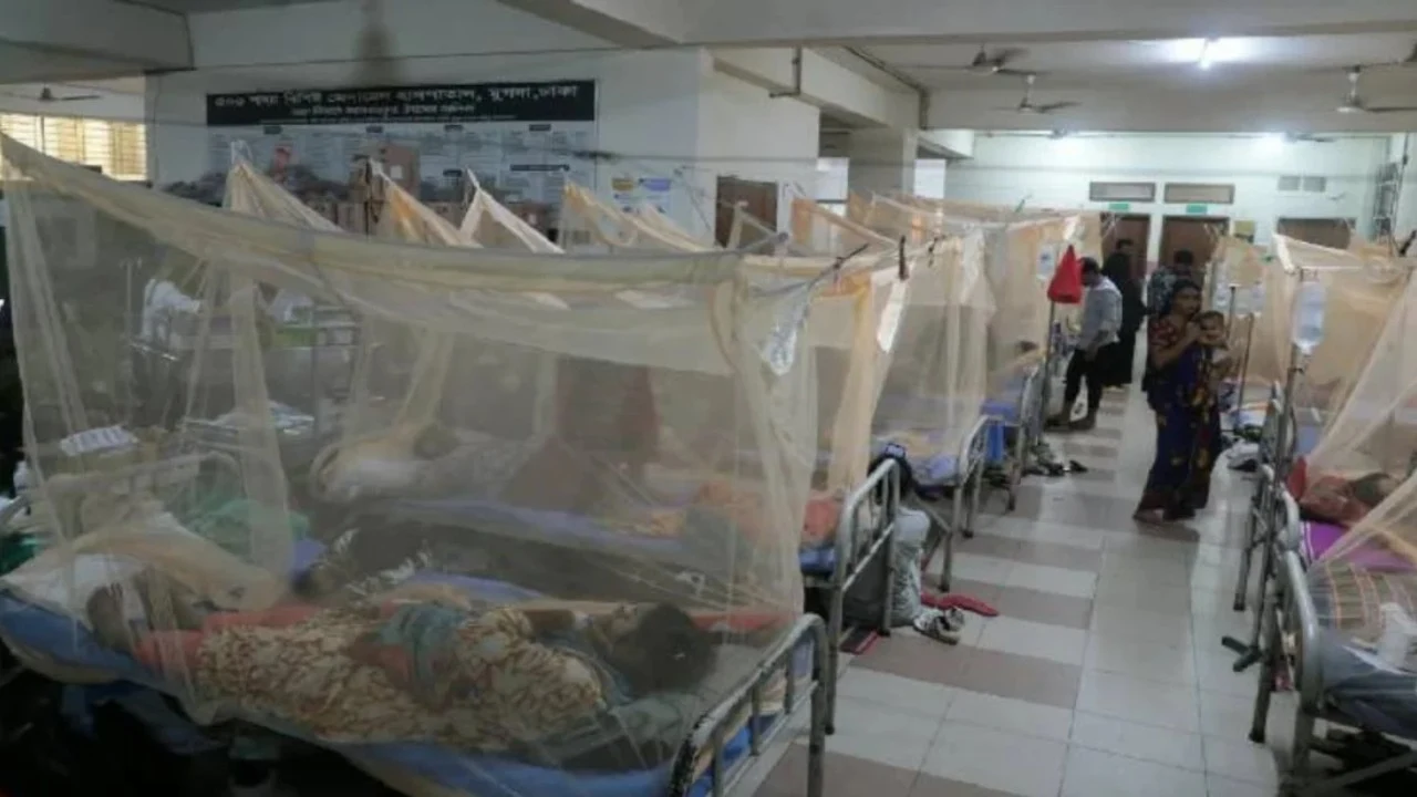 ডেঙ্গুতে ২৪ ঘণ্টায় ৪ জনের মৃত্যু, হাসপাতালে ভর্তি ১৮৫১
